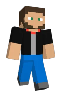DK502 Minecraft avatar full body
