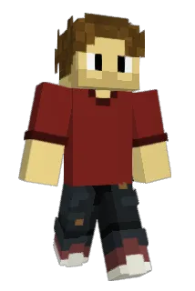 DK909 Minecraft avatar full body