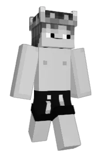 DK_AtHome Minecraft avatar full body