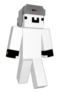 DKidneys Minecraft avatar full body