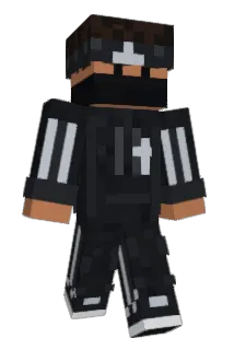 DL3010 Minecraft avatar full body
