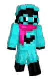 DLG305 Minecraft avatar full body
