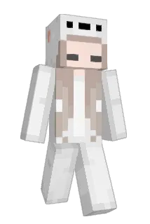 DLSBX Minecraft avatar full body