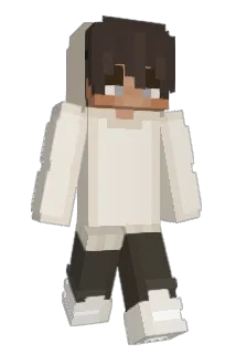DM23pro Minecraft avatar full body