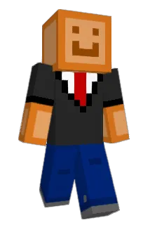 DMD1219 Minecraft avatar full body