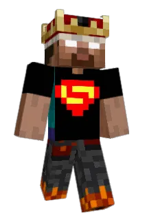 DMONEY100302 Minecraft avatar full body
