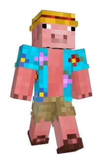 DMR45 Minecraft avatar full body
