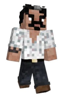 DMWX Minecraft avatar full body