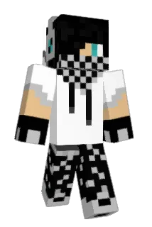 DMvV Minecraft avatar full body