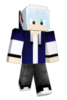 DNFate Minecraft avatar full body
