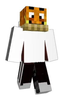 DNIESES Minecraft avatar full body
