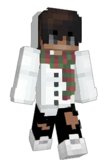 DNMWWO Minecraft avatar full body