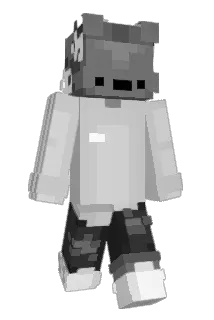 DNTD Minecraft avatar full body