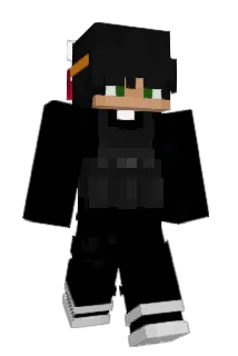 DNTT2901 Minecraft avatar full body