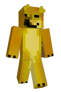 DOGE6262 Minecraft avatar full body