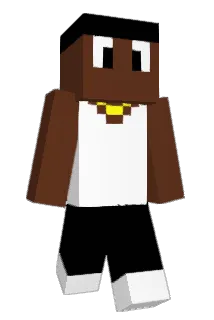DOGGHOUSE Minecraft avatar full body