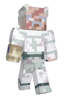 DOH55 Minecraft avatar full body