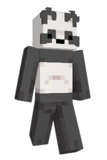 DONGSIL00 Minecraft avatar full body