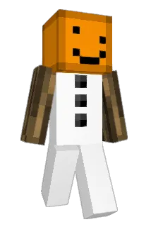 DONNGGG Minecraft avatar full body