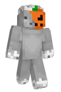 DONUT_DOGGY Minecraft avatar full body