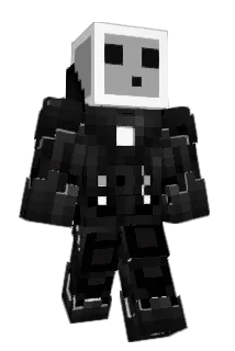 DPAIX Minecraft avatar full body