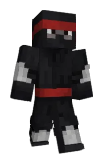 DPG228 Minecraft avatar full body