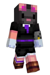 DR3Dzi Minecraft avatar full body