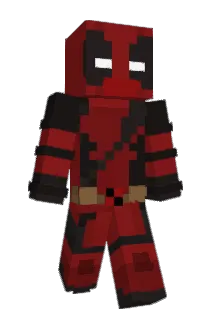 DRFIN Minecraft avatar full body