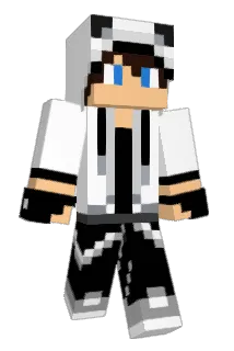 DRandy77 Minecraft avatar full body