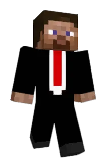DS360 Minecraft avatar full body