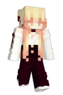 DSBV Minecraft avatar full body