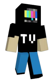 DSH0322 Minecraft avatar full body