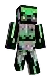 DSI360 Minecraft avatar full body