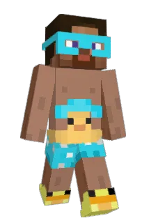 DSP5 Minecraft avatar full body