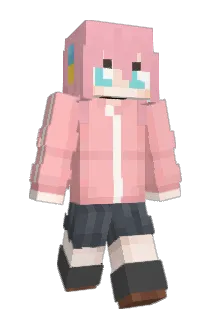 DSP_Java Minecraft avatar full body
