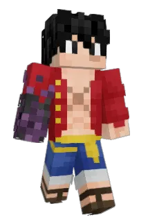 DSR2000 Minecraft avatar full body