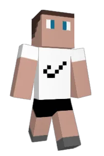 DS_20 Minecraft avatar full body