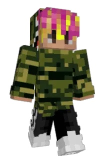 DS_PRO Minecraft avatar full body