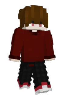 DSchnitzZl Minecraft avatar full body