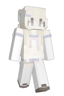 DSovecka Minecraft avatar full body