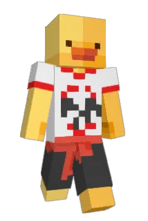 DT16484 Minecraft avatar full body