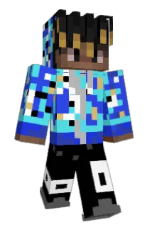 DTCCOCA Minecraft avatar full body