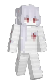 DTIF Minecraft avatar full body