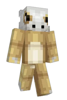 DTKAI Minecraft avatar full body