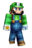 DTMdude Minecraft avatar full body