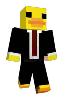 DUCK1007 Minecraft avatar full body