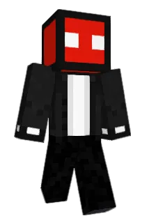 DUCK_MAN_ Minecraft avatar full body