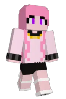 DUJOONG Minecraft avatar full body