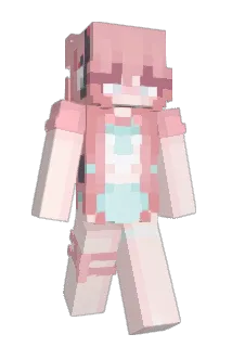 DUchong1 Minecraft avatar full body