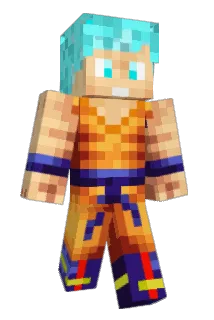 DVD88 Minecraft avatar full body
